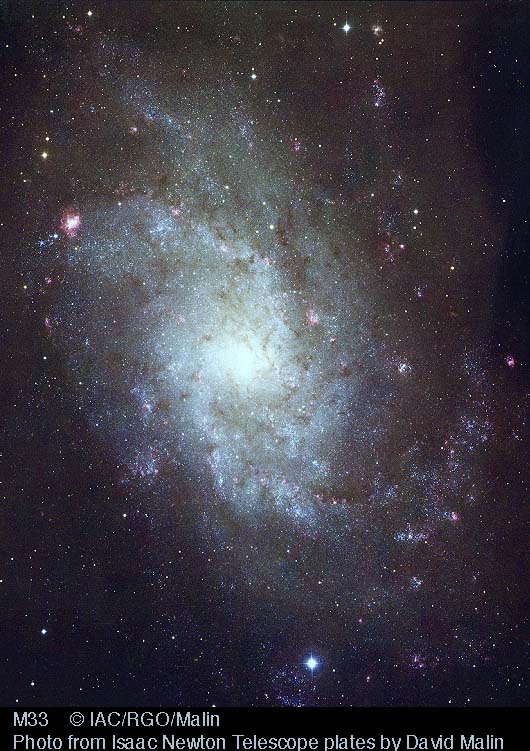 m33.jpg