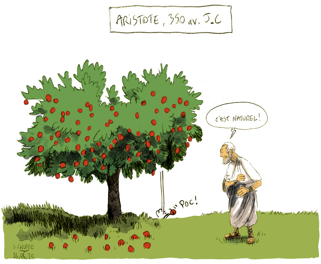 Aristote1.jpg